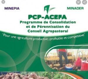 Quatrième session du comité de pilotage du PCP-ACEFA : Une cogestion pour de meilleurs résultats