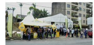Cameroun-Formation-emploi : Il faut changer de paradigme