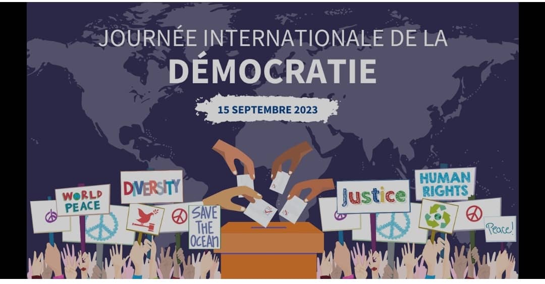 Démocratie en marche, vigilance en ligne