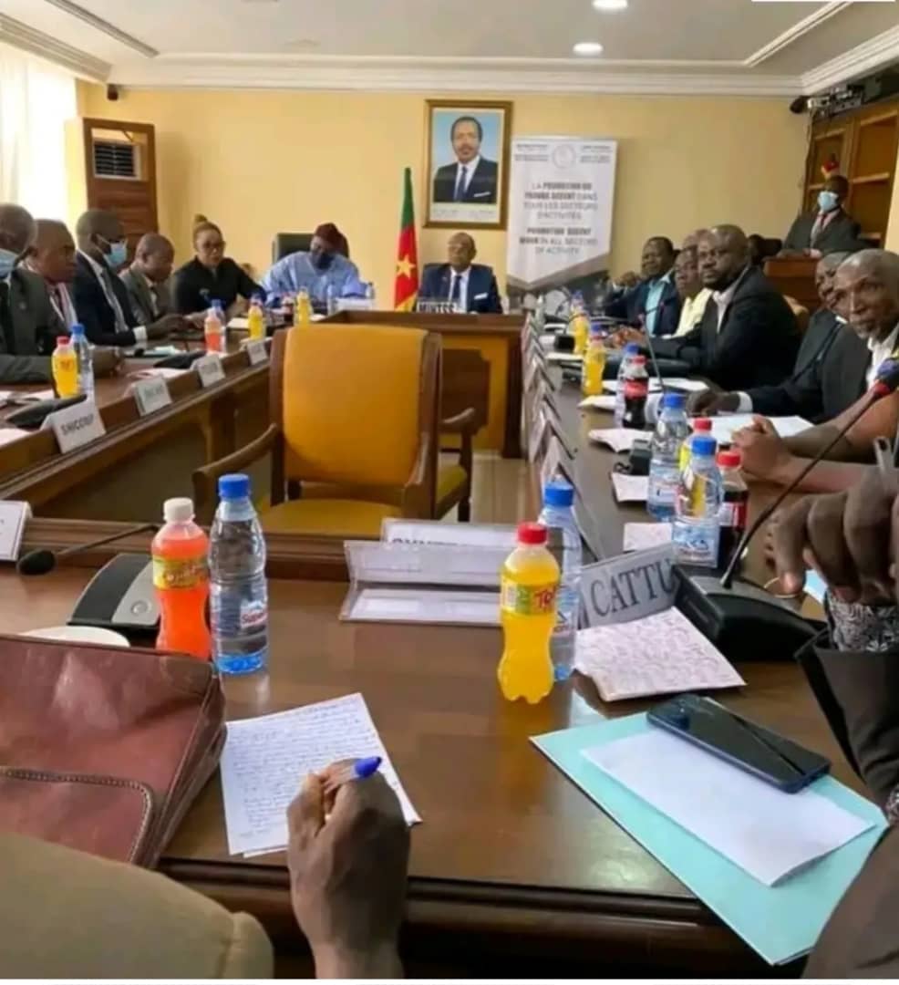 Dialogue social et formalisation : le Cameroun en quête d’équilibre durable