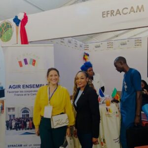 Au Cameroun, les élus de la diaspora française veulent transformer la coopération territoriale en levier de développement